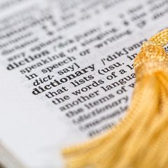 כך תפתחו את היכולת לתרגם טקסטים באנגלית בעצמכם תוך זמן קצר